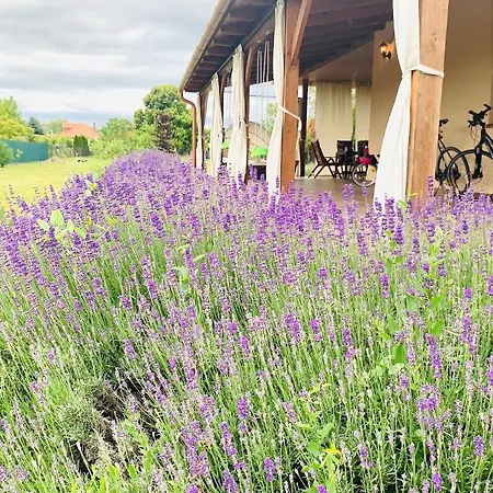 بيت للعطل Levendulas Haz - Balatonfőkajár