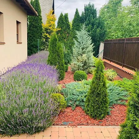 Levendulas Haz - * Balatonfokajar