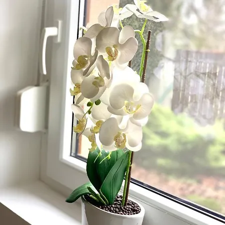 Levendulas Haz - بيت للعطل Balatonfőkajár