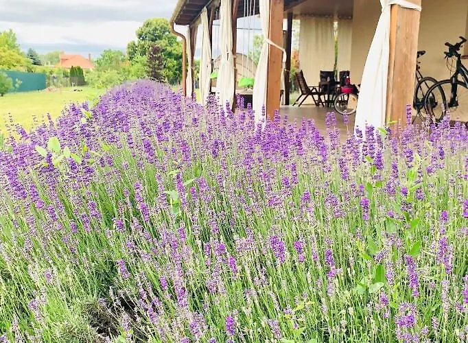 Vakantiehuis Levendulas Haz - Balatonfőkajár