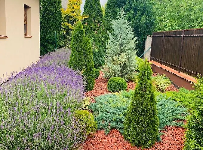 Levendulas Haz - * Balatonfőkajár