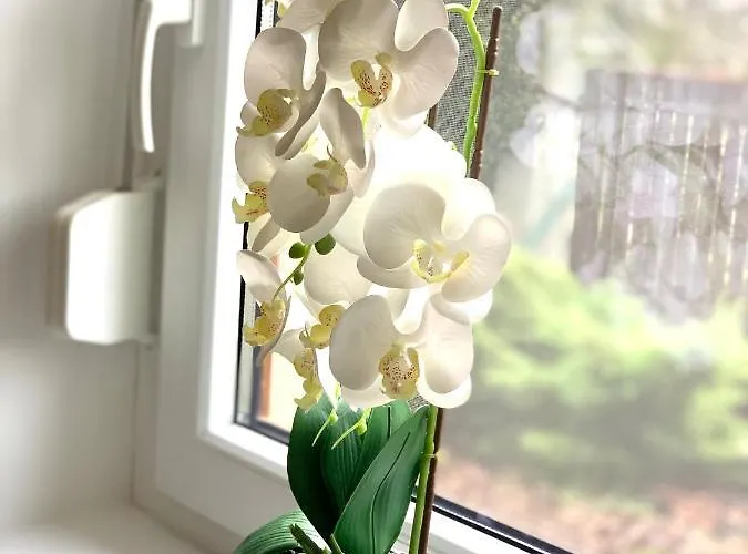 Levendulas Haz - Vakantiehuis Balatonfőkajár