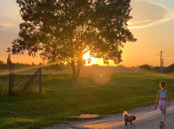 Hébergement de vacances Levendulas Haz - *